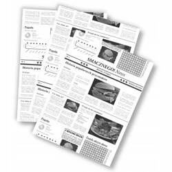 Papier w arkuszach fol. PE 30x40cm 1000szt gaz. b.