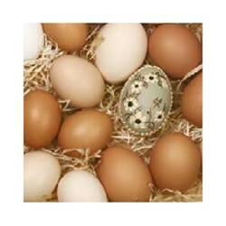 DAISY Serwetki Organic Eggs 33x33cm 3W 20 szt.