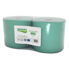GREEN Czyściwo C250/1 2 szt. zielony