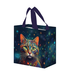 Torba Mini Galaktyczna Kotka 25x15x27cm 10L