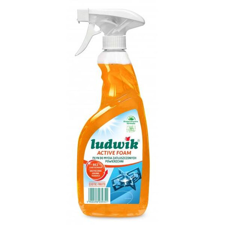 LUDWIK Płyn do mycia zatłuszczonych powierz. 600ml